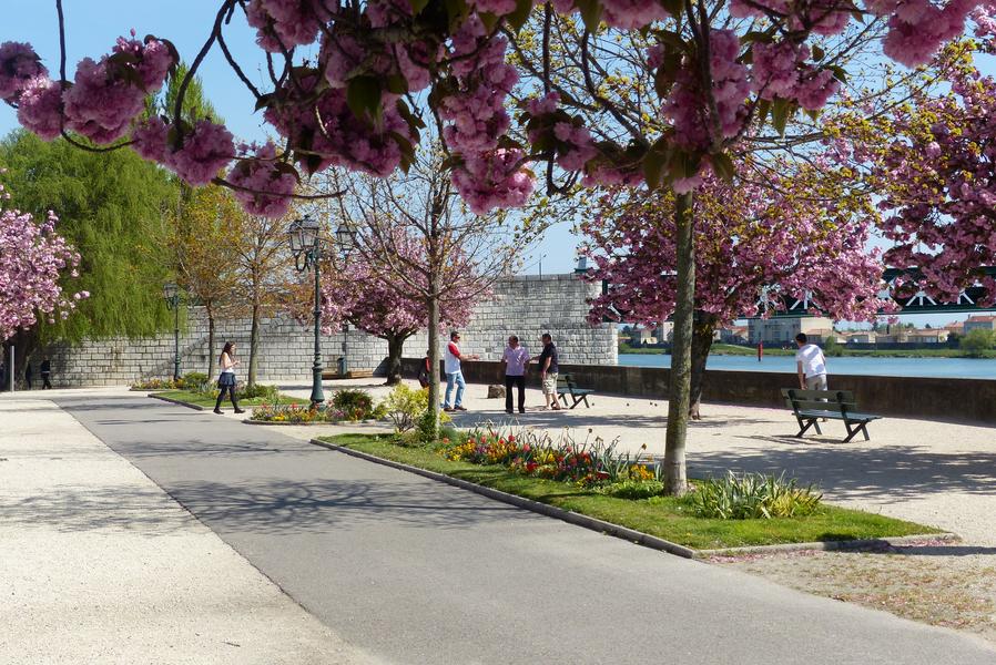 Viarhona itinéraire bis 2