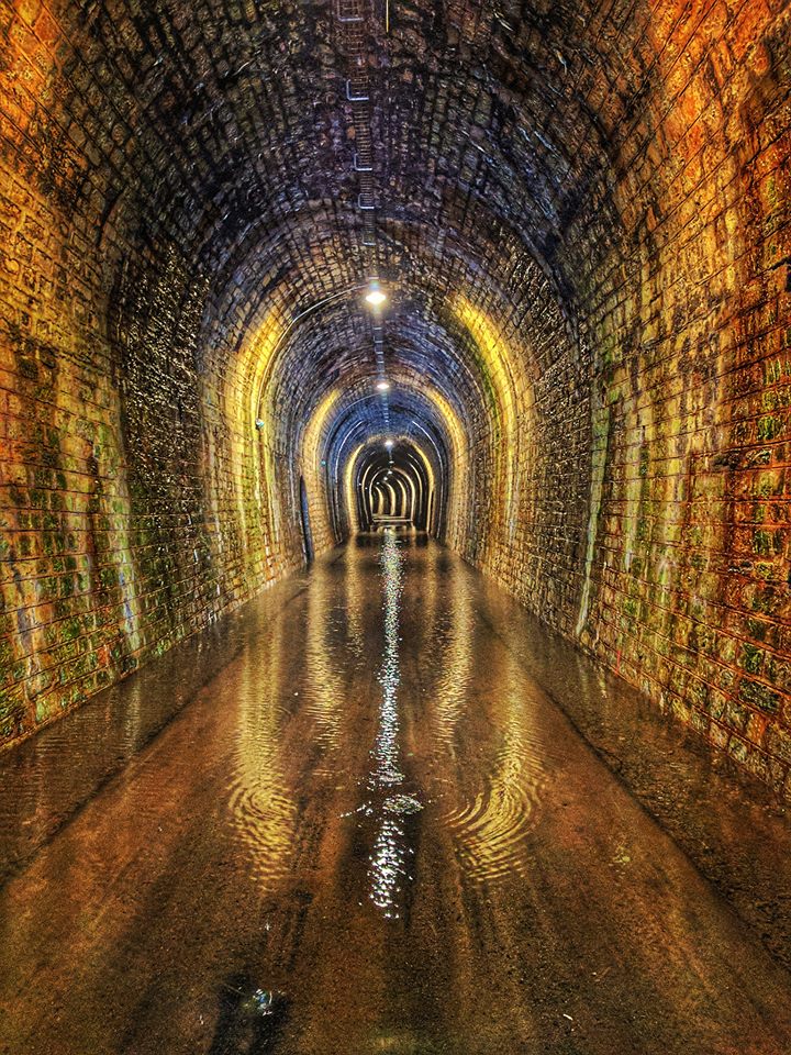 courniou_2017-05_tunnel-voie-verte_dav-id