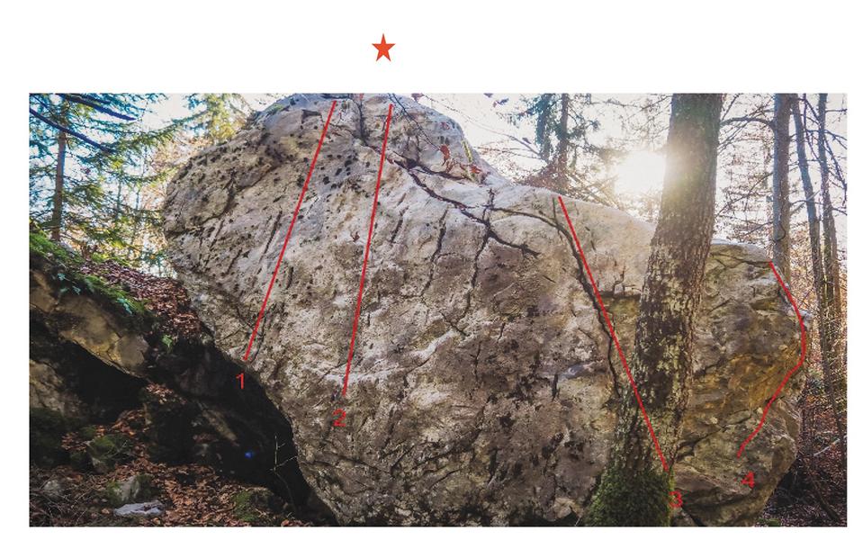 Blocs d'escalade du Plateau d'Assy_Passy