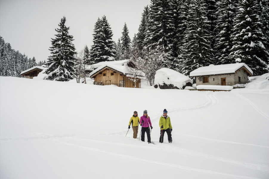 Snowshoeing & well-being stay