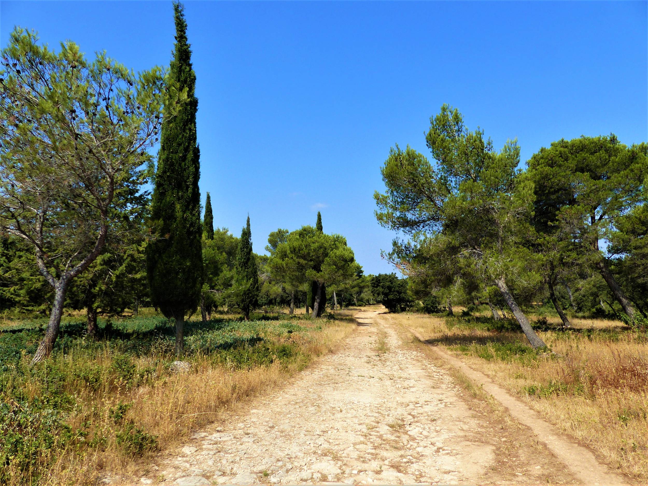 TARASCON - La Routo : sentier des chapelles — photo 3