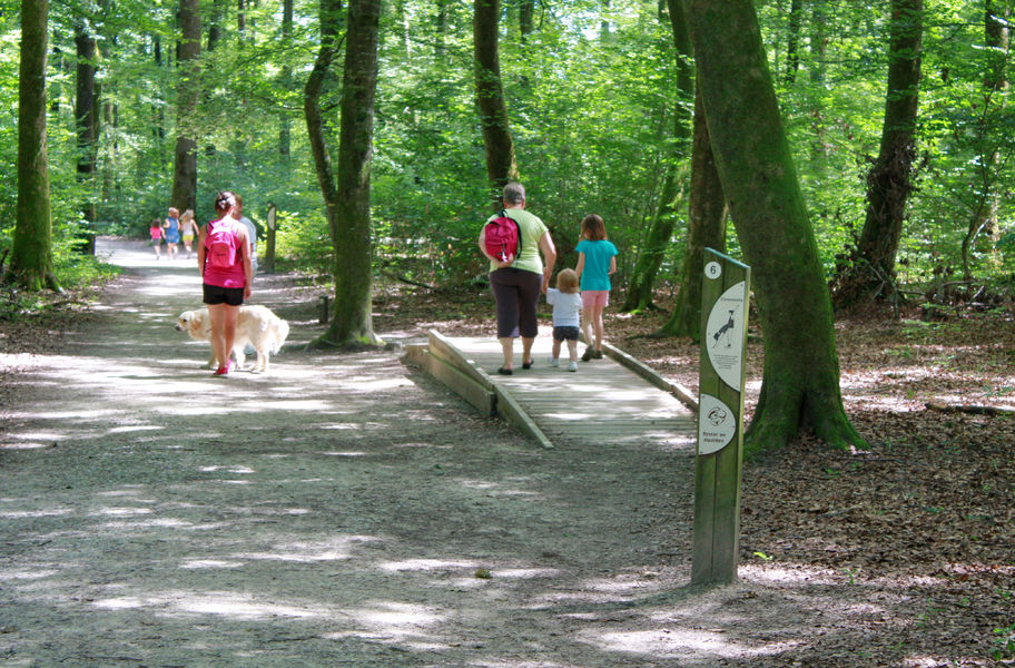 (7) seillon©JF_OTBBA -RT