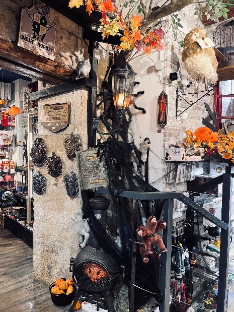 Le Secret des Sorciers - photo 3