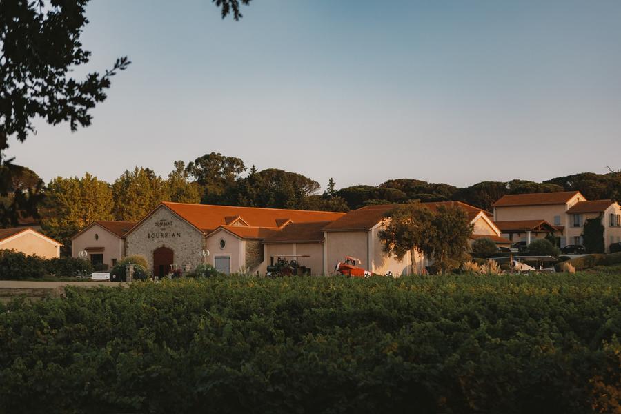 Domaine viticole du Bourrian_Gassin