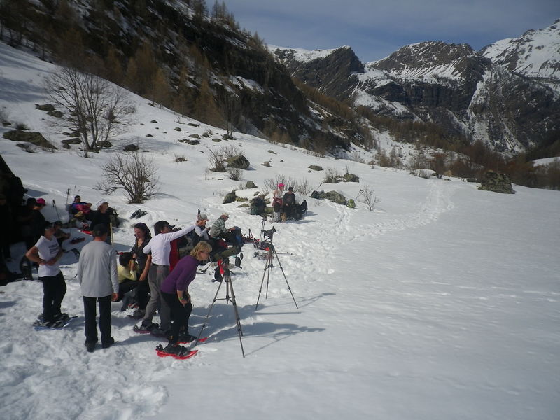 Himal hiver | Himal Himal hiver