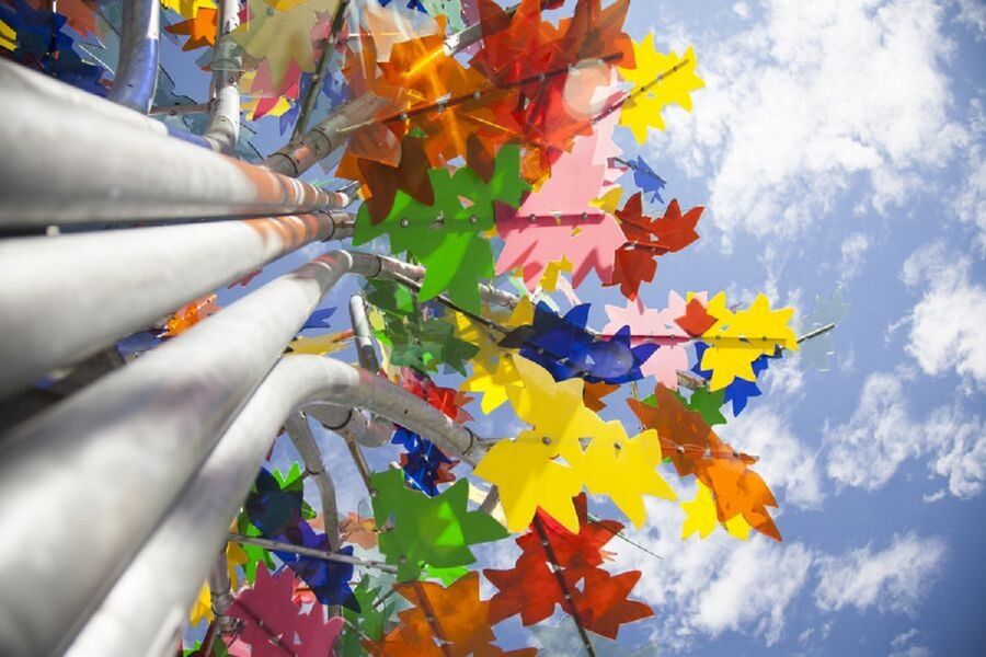 Arbre Multi-Couleurs