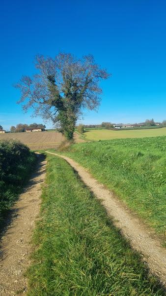 Liaison VTT-VTC (L7) St Trivier de Courtes - Dunes de Sermoyer_Saint-Trivier-de-Courtes