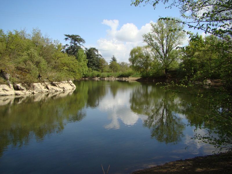 Etang Combe Gibert