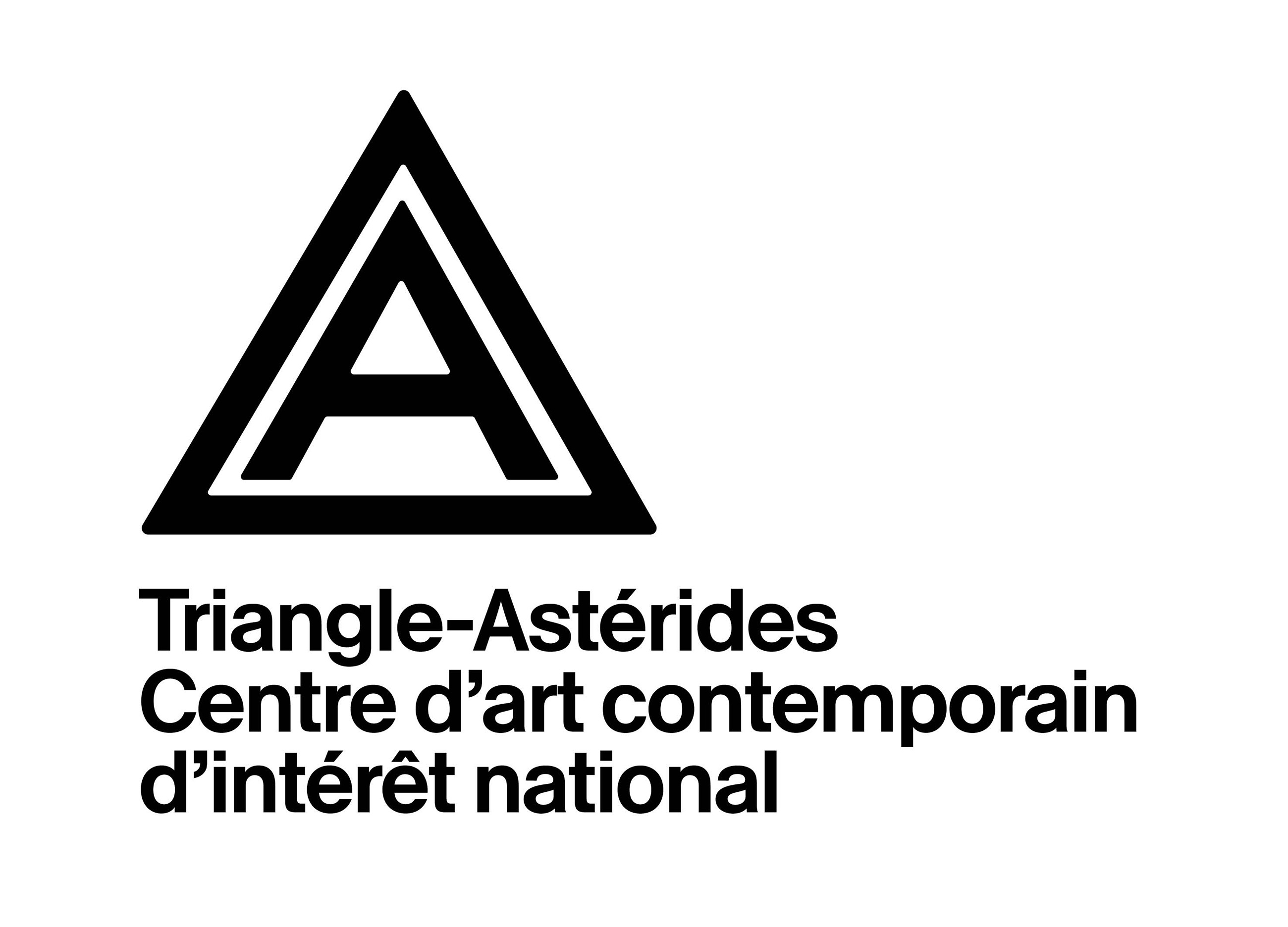 Triangle-Astérides, centre d'art contemporain d'intérêt national et résidence d'artistes, Marseille 3e Arrondissement - photo 2