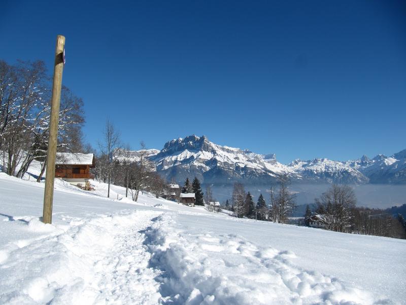 Boucle du Pont des Nants - sentier raquettes_Cordon