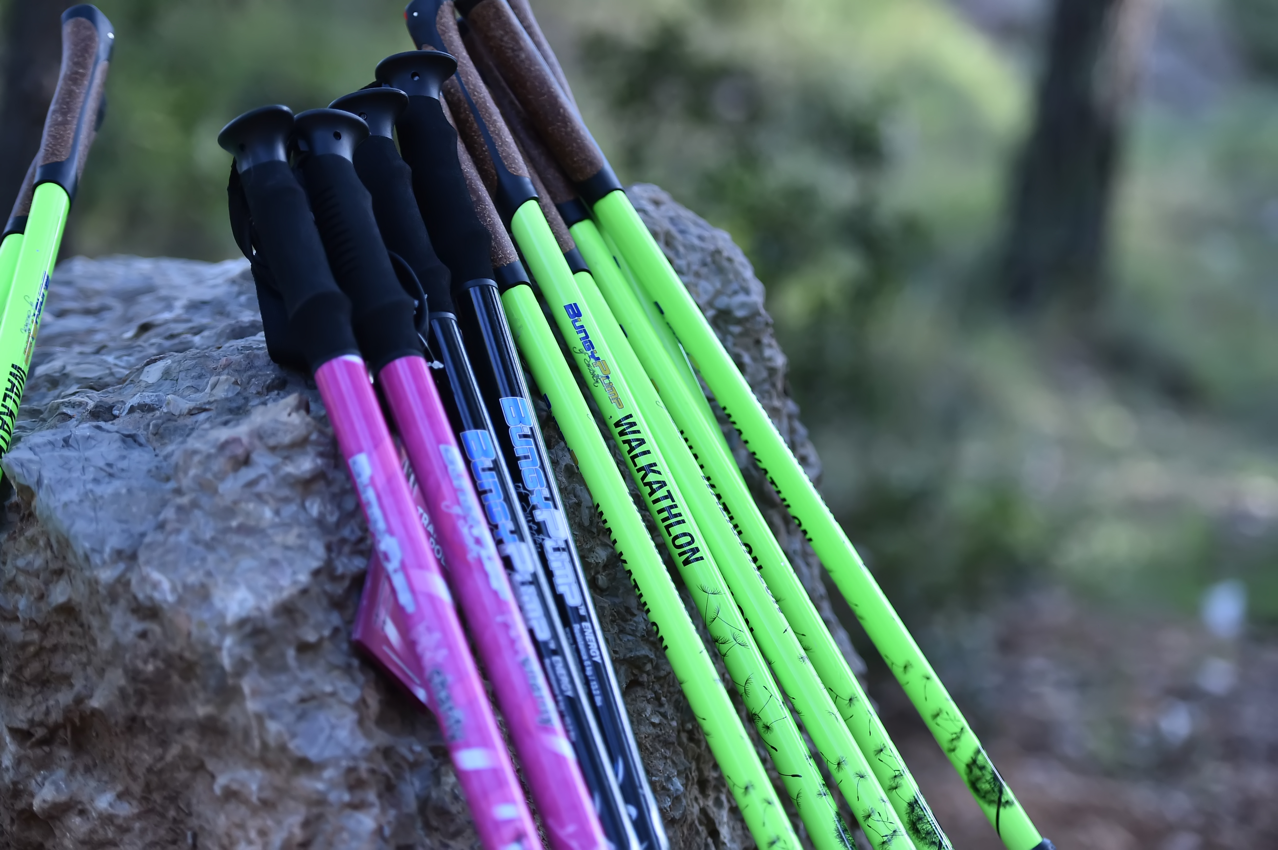 Authentic Sports - photo 3