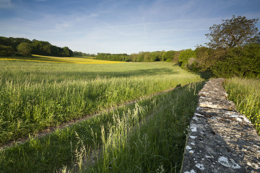 Pelouses sèches - ENS 