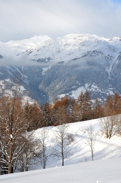 Chemin de Montgésin