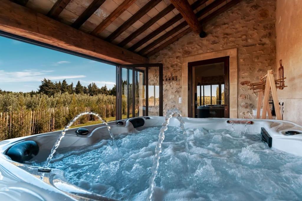 Au Mas du Papé, Saint-Pierre-de-Mézoargues - photo 6