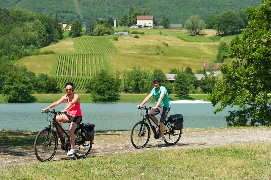 locationdevelo-aixlesbainsrivieradesalpes-prolynx