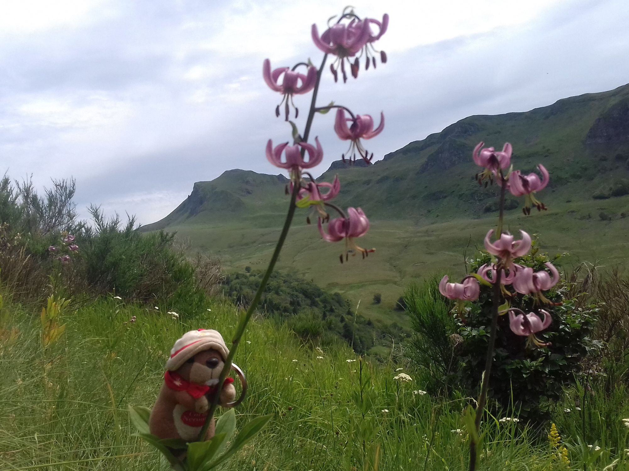 Mascotte + Montagnes