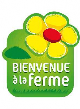 3c005e1fb2bd95c4e890