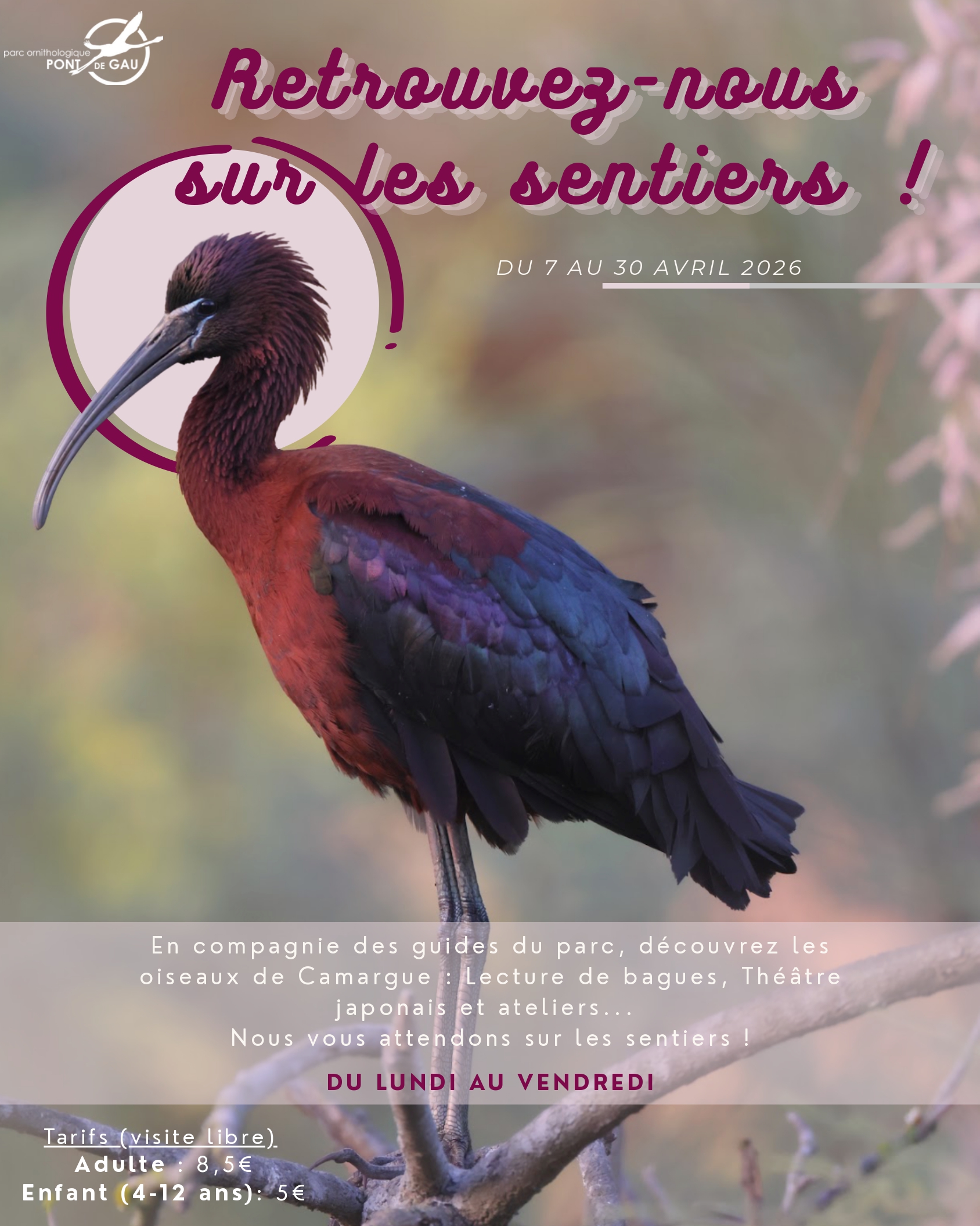 Vacances des Pâques au Parc Ornithologique de Pont de Gau