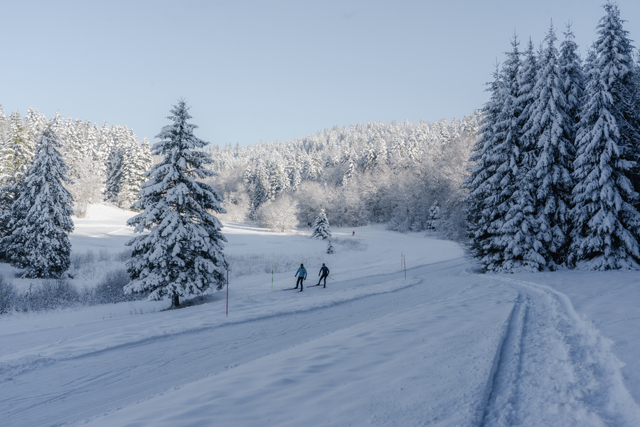 Domaine de ski nordique de la Praille_Plateau d'Hauteville Domaine de ski nordique de la Praille_Plateau d'Hauteville