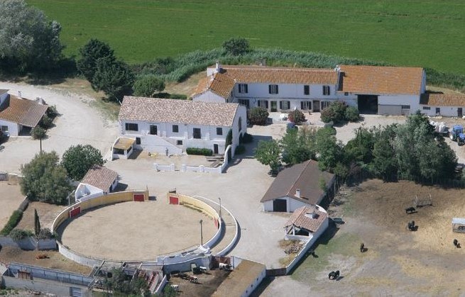 Manade Jalabert, Arles - photo 2