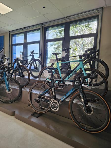 Six vélos de route exposés en magasin.