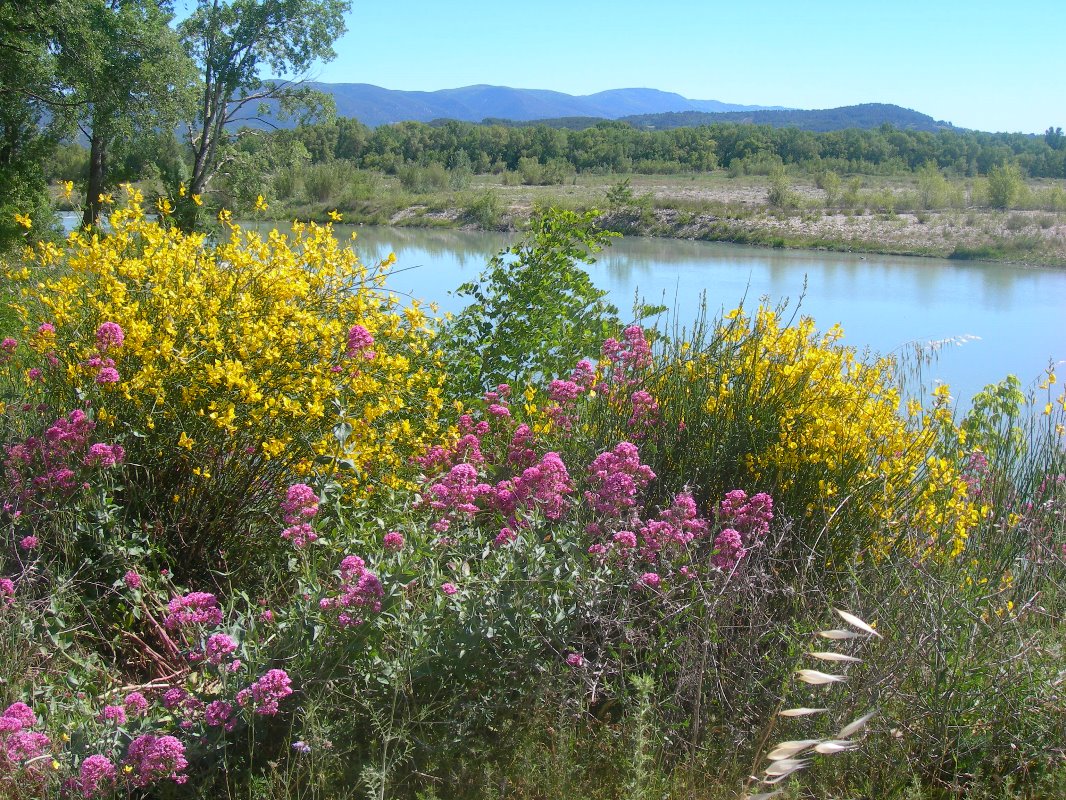 La Roque d'Anthéron - Sentier des Iscles, La Roque-d'Anthéron - photo 4