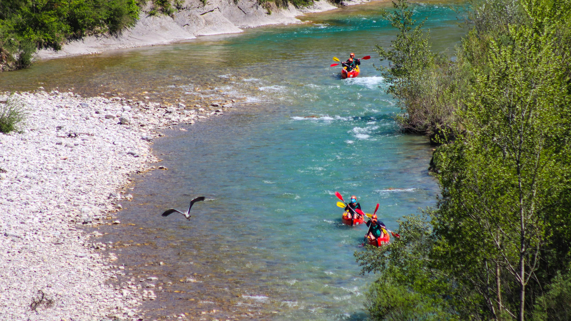 Descente en Kayak