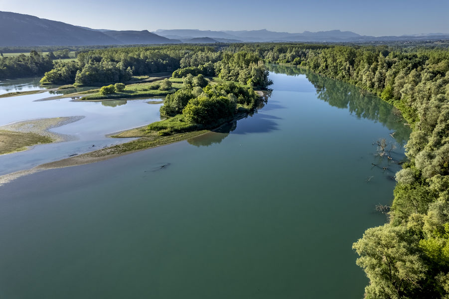 Réserve Naturelle Régionale du Haut Rhône Français