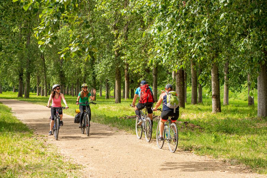 Viarhôna entre Viviers et Bourg-Saint-Andéol