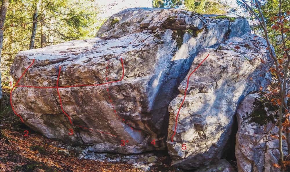 Blocs d'escalade du Plateau d'Assy_Passy