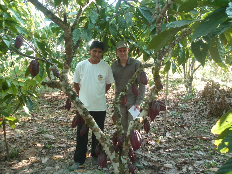 Nos cultivateurs de cacao bio