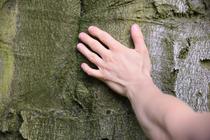 Atelier - Balade (ra)contée_Val-de-Virieu