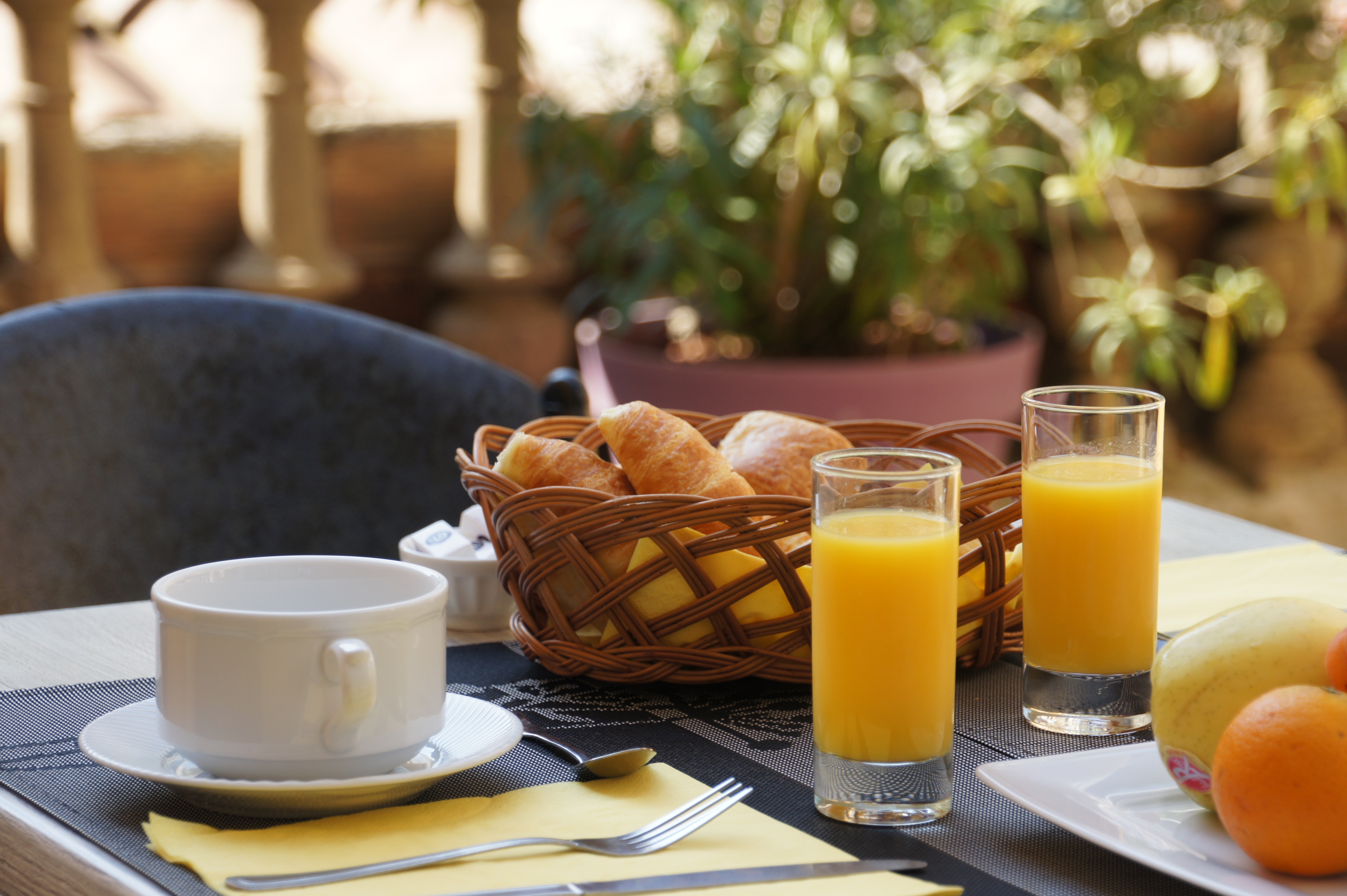 Petit Déjeuner