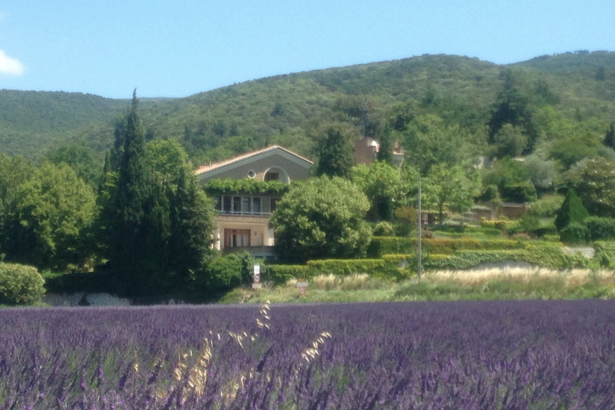Vue du domaine avec les lavandes