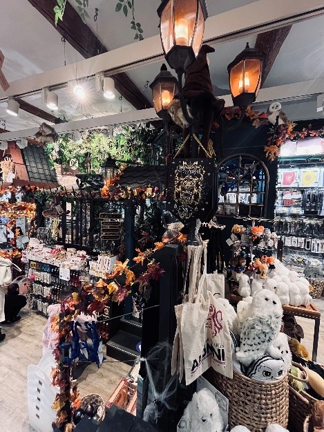 Le Secret des Sorciers