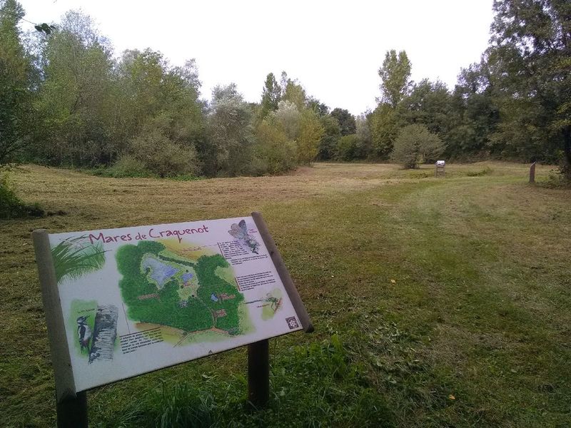 Espace Naturel Sensible des Mares de Craquenot