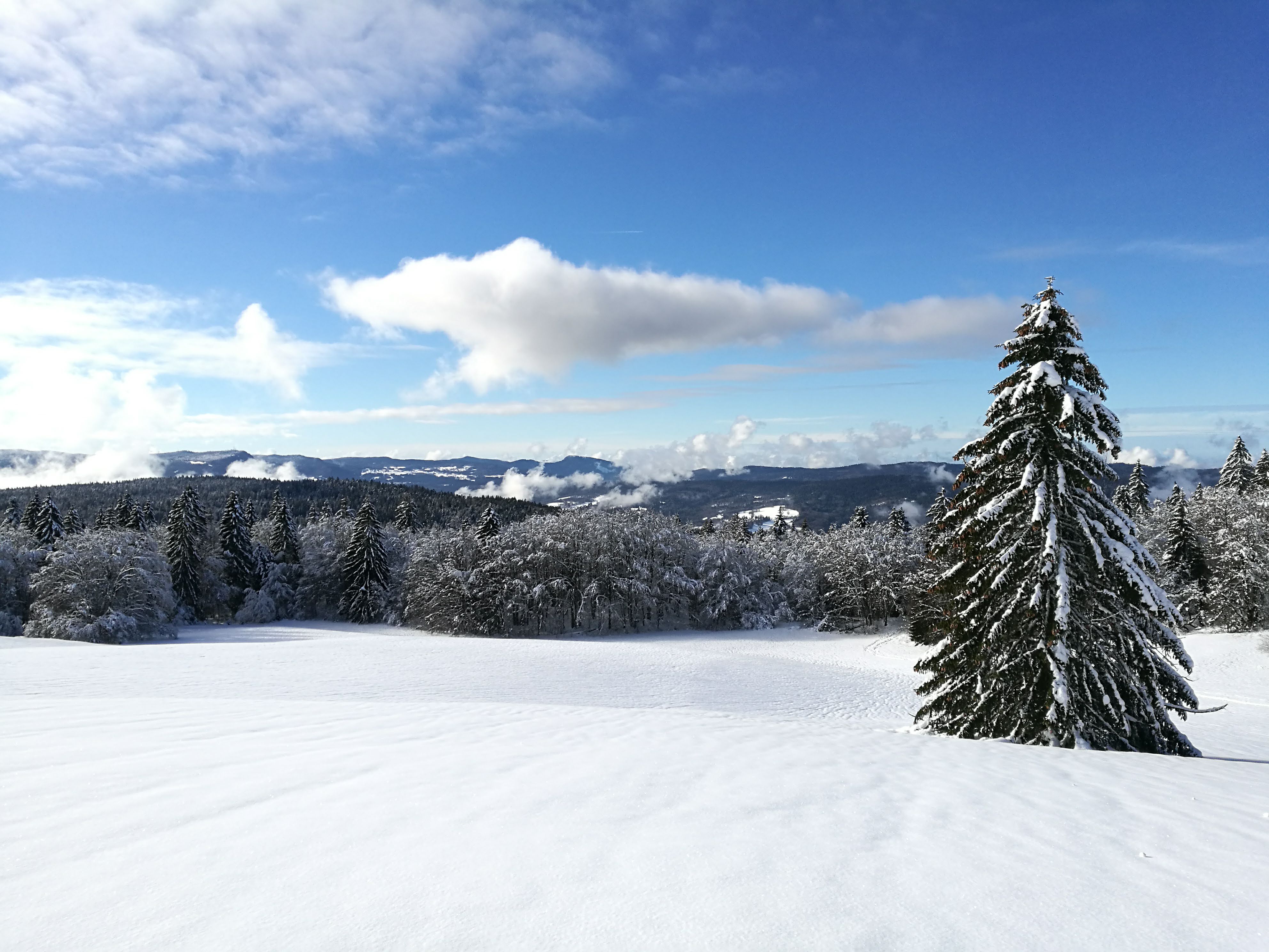 Ski_Giron_Dec2020_©M_Jacques_OT TerreValserine (30)