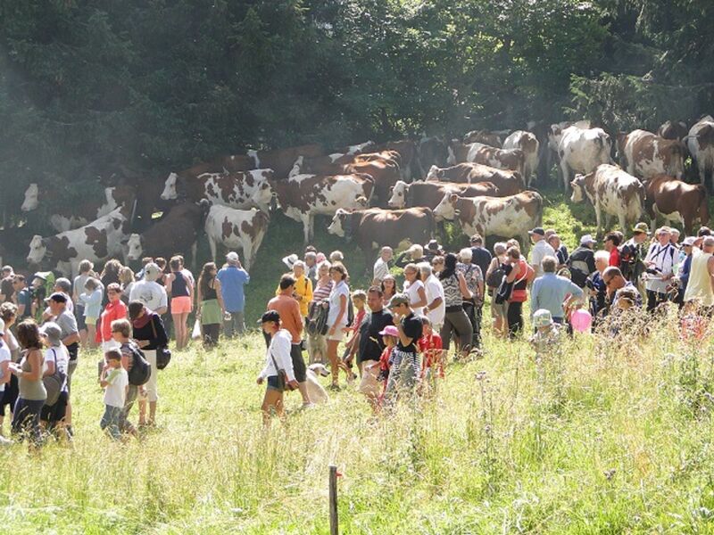 Fête des Alpages du Mont Revard