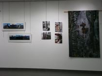 Oeuvres picturales et photographies de Béatrice Derval