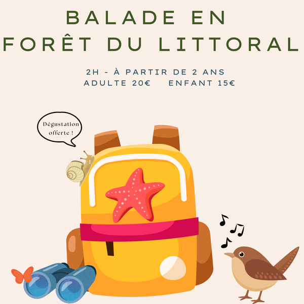La forêt du littoral
