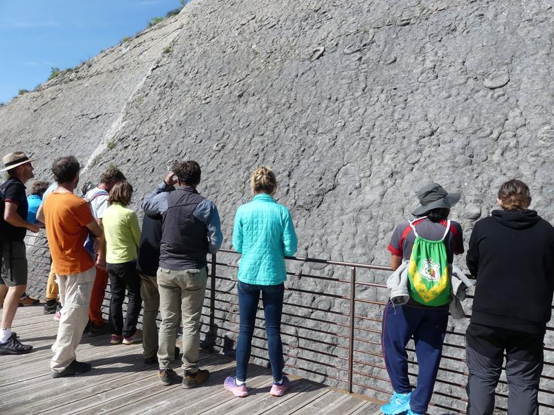la Dalle aux Ammonites