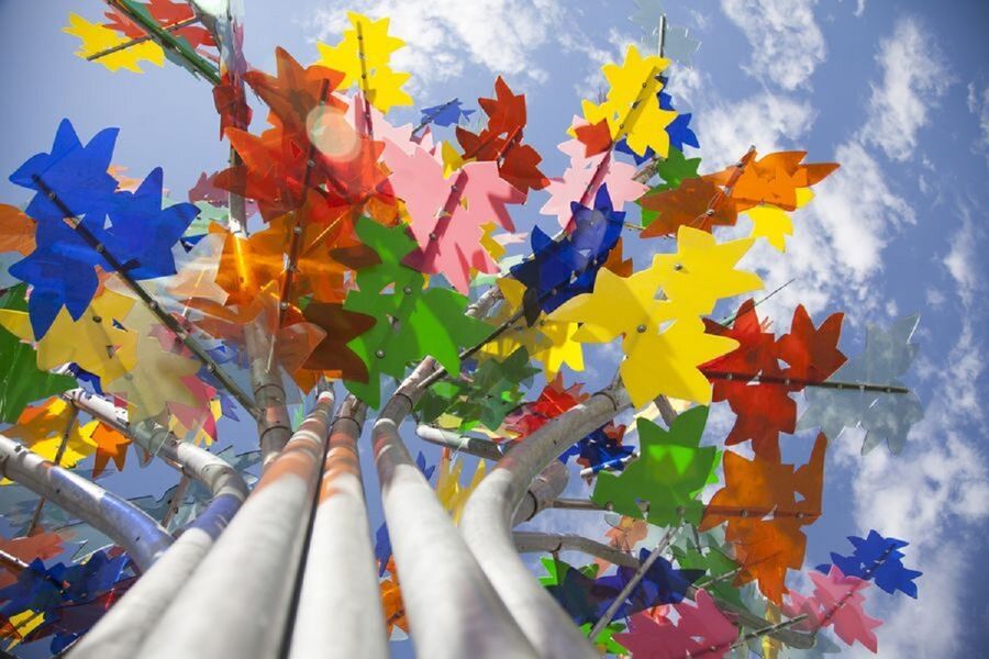 Arbre Multi-Couleurs