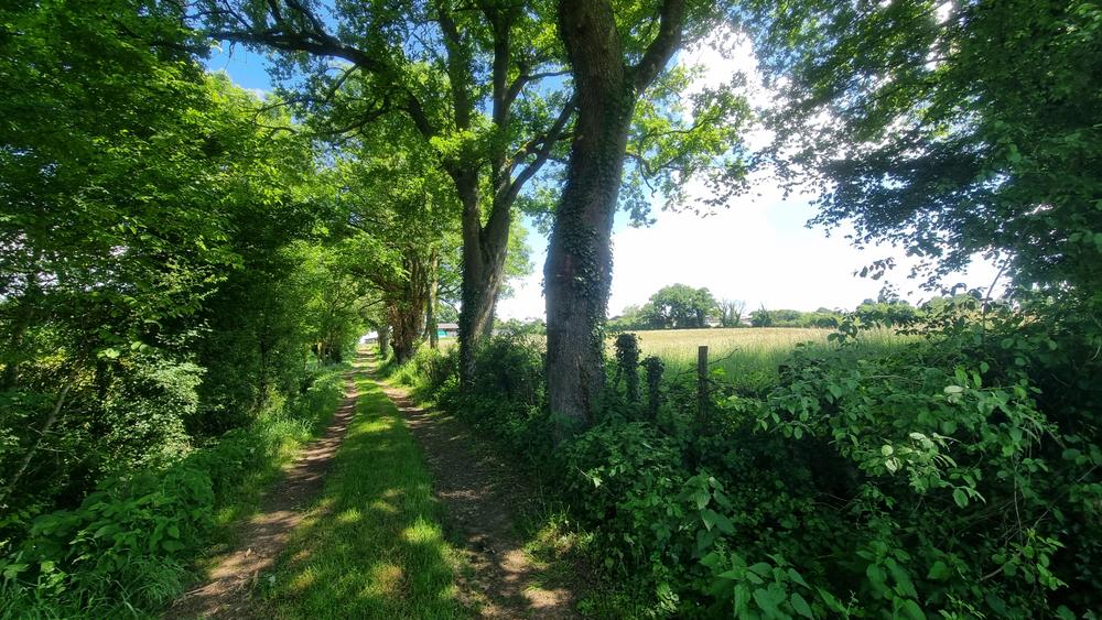 Circuit VTT-VTC n°26 (noir)_Tour de St Didier d'Aussiat