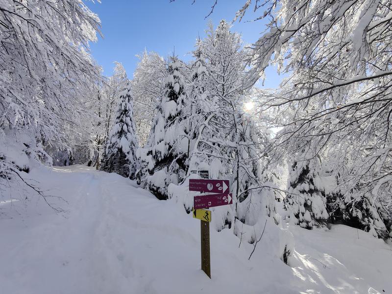 Balisage raquettes hiver