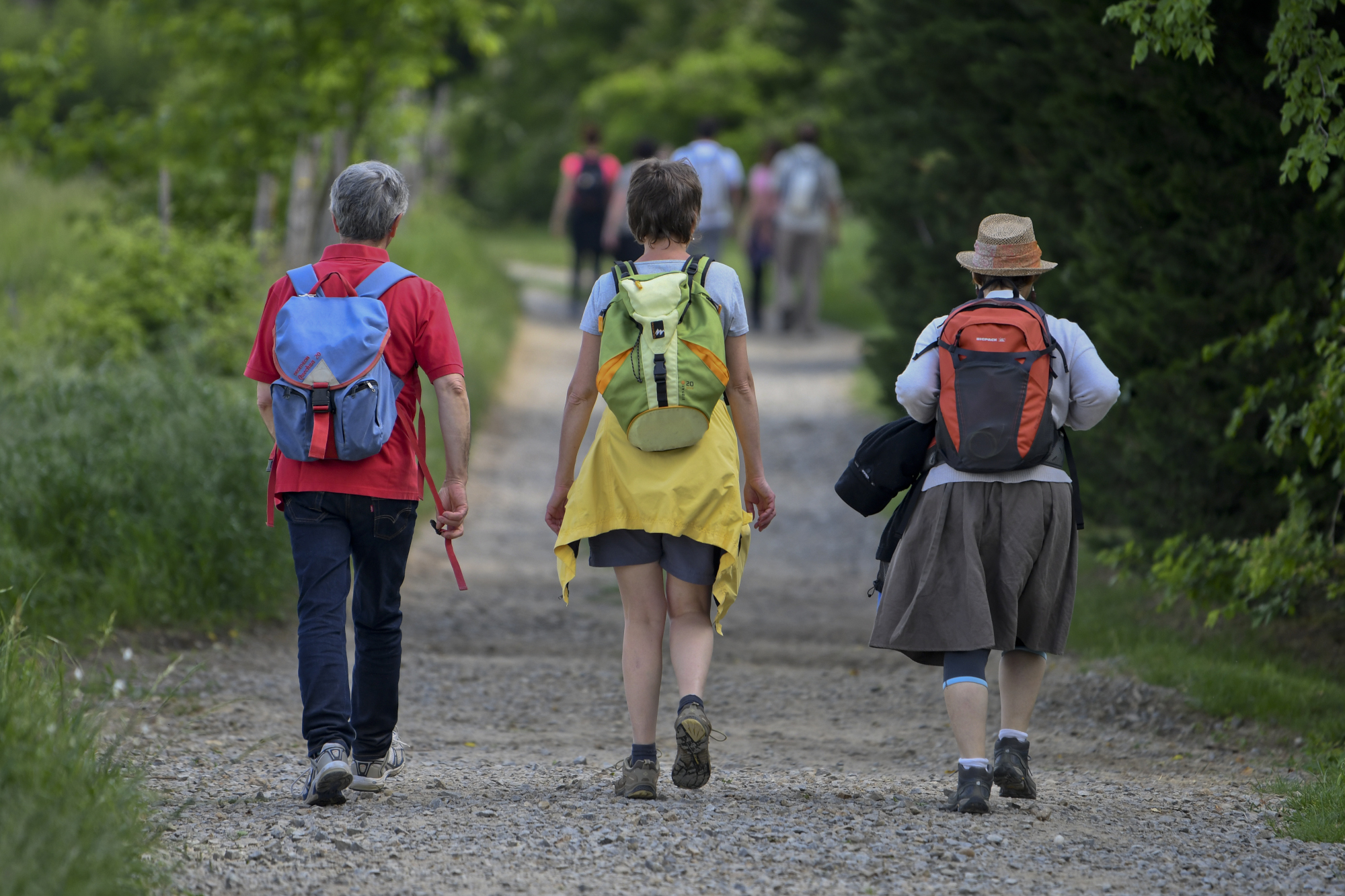 Le tour des plateaux