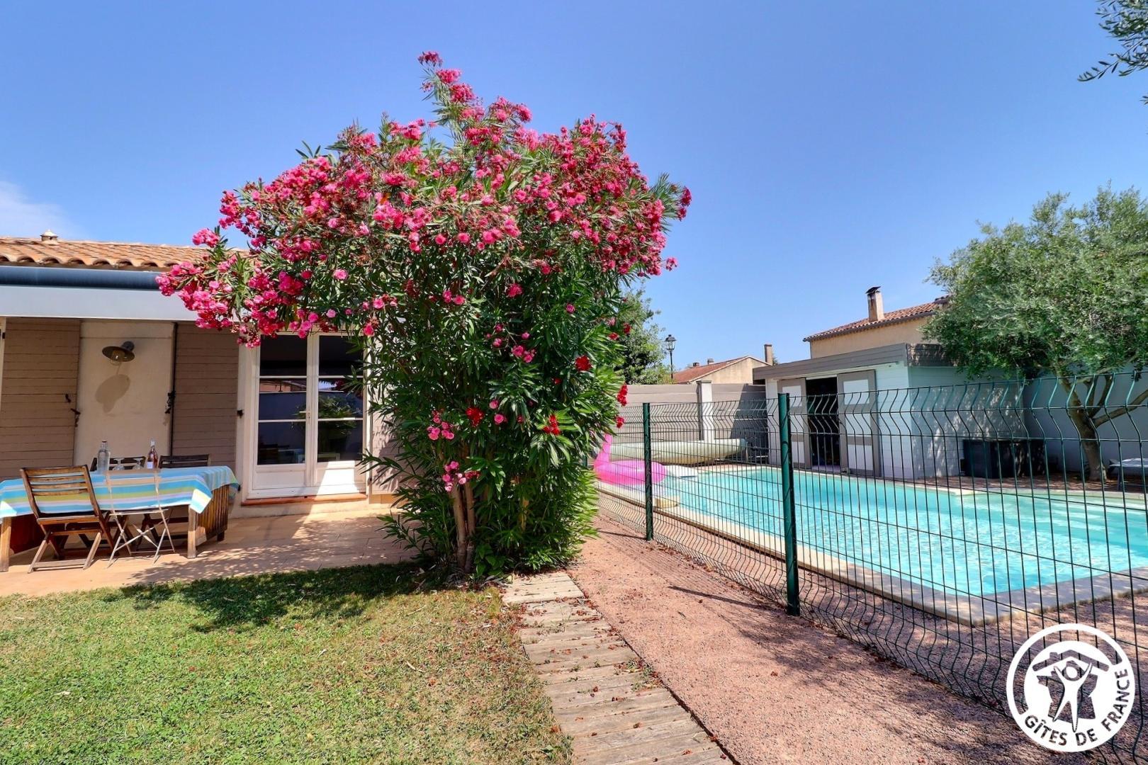 Holidays in Noves, Noves - photo 2