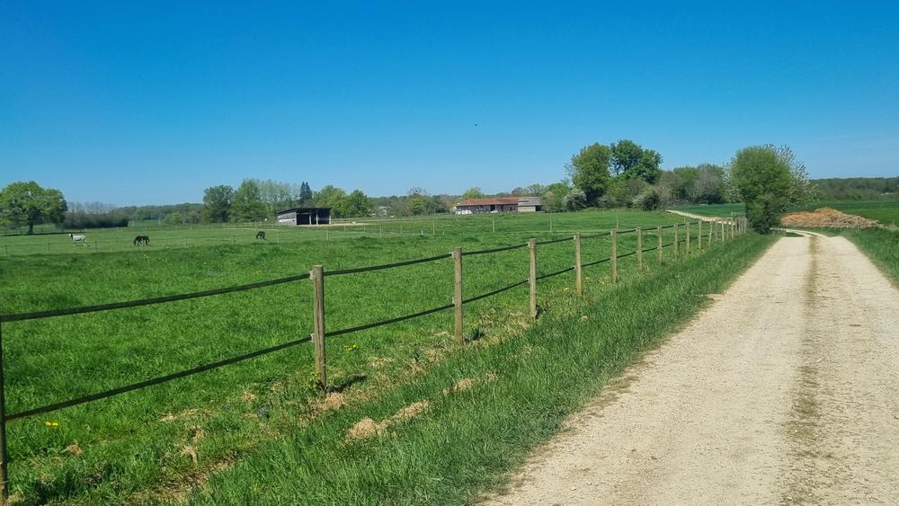 Liaison VTT-VTC (L2) - La Plaine Tonique Plan d'eau de Mépillat