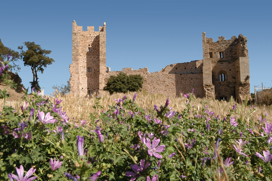 Remparts et vestiges du château des Seigneurs de Fos