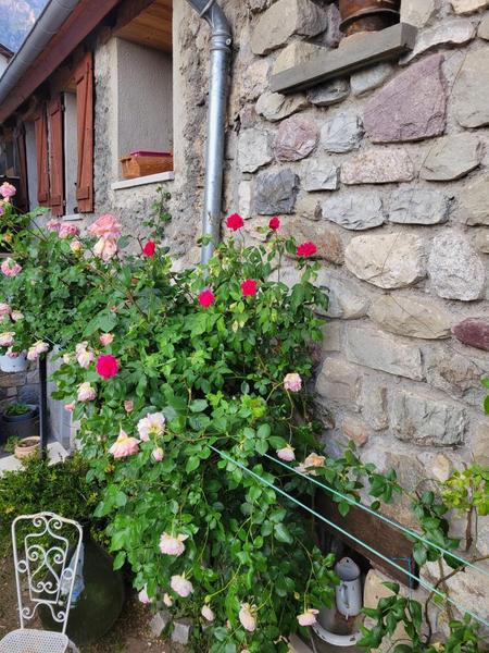 Gîte Les Chardons-Accès au gîte-Valdeblore-Gîtes de France des Alpes-Maritimes