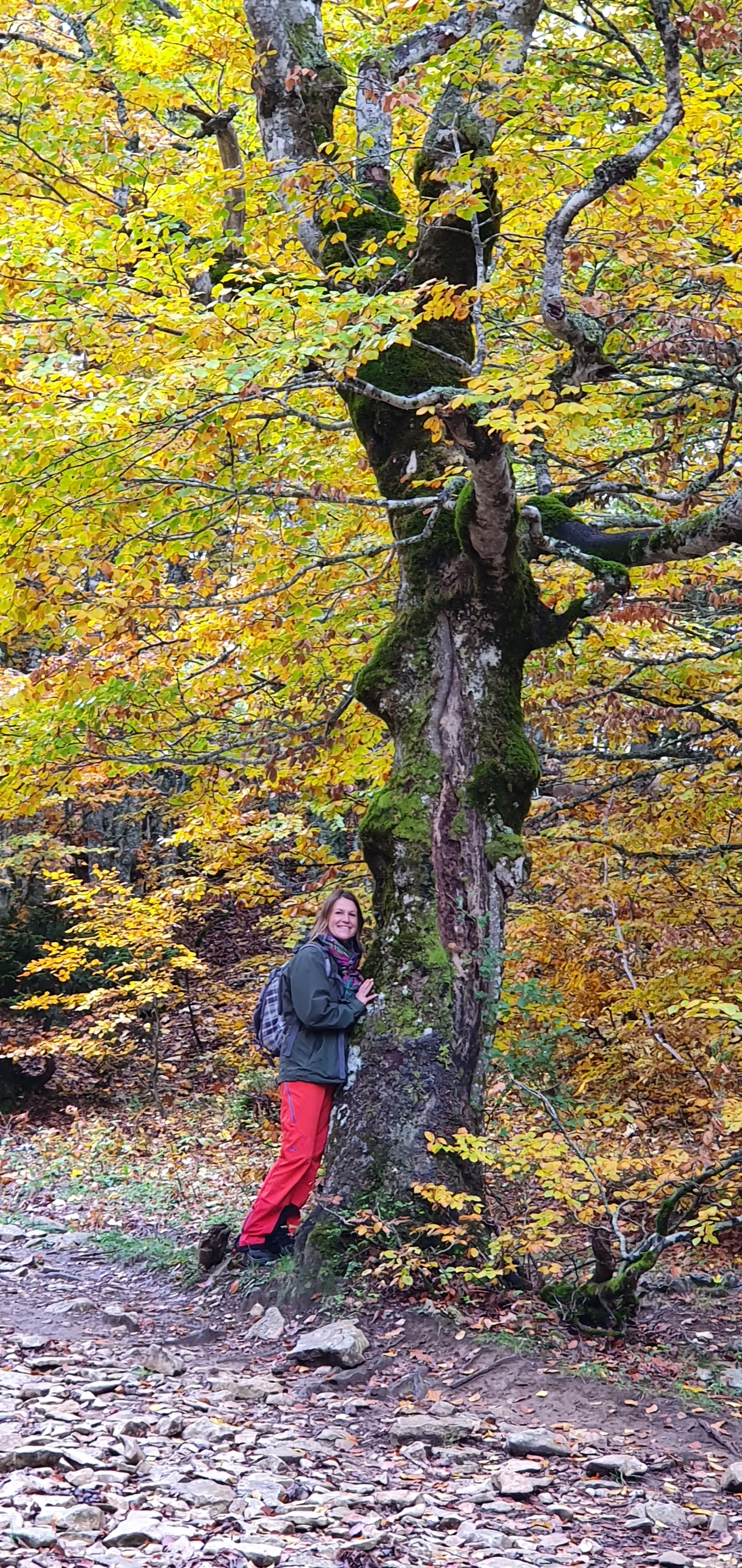 Sylvothérapie : Bien-être par la Nature